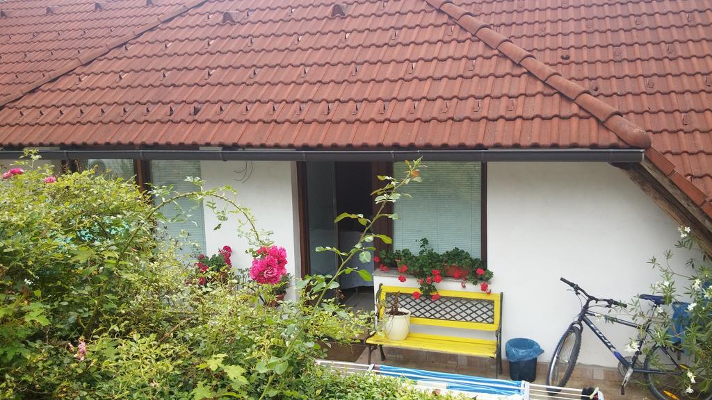 Darja Guesthouse Dob Екстериор снимка